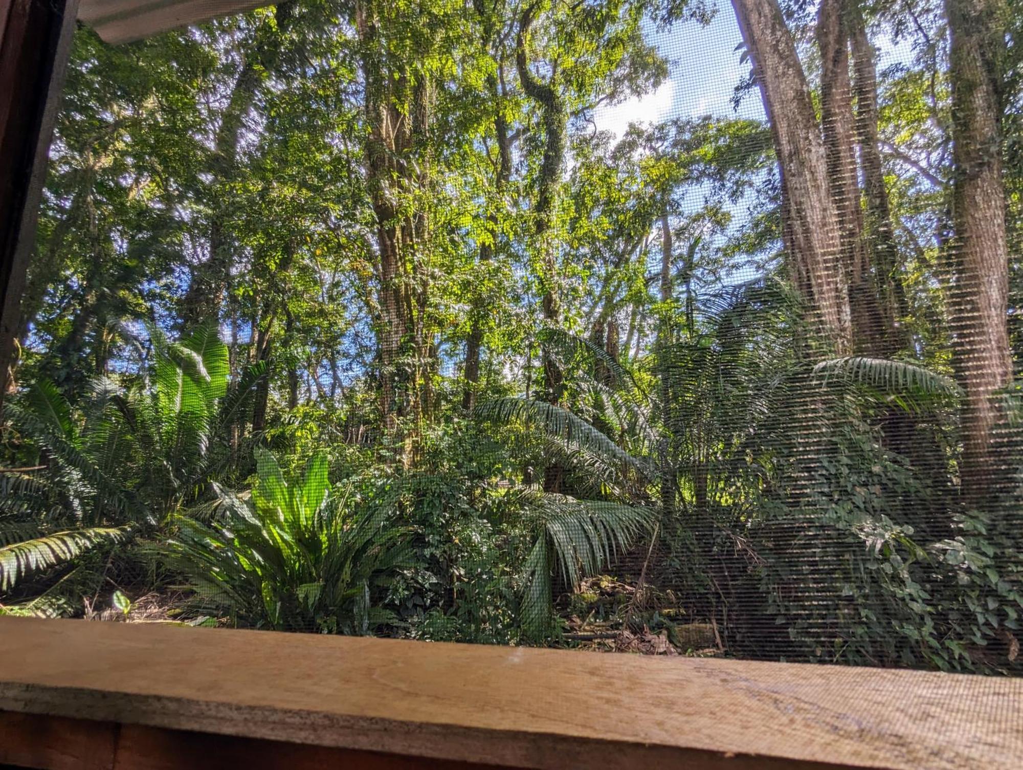 Arboura Eco Cabins Uvita Exterior photo