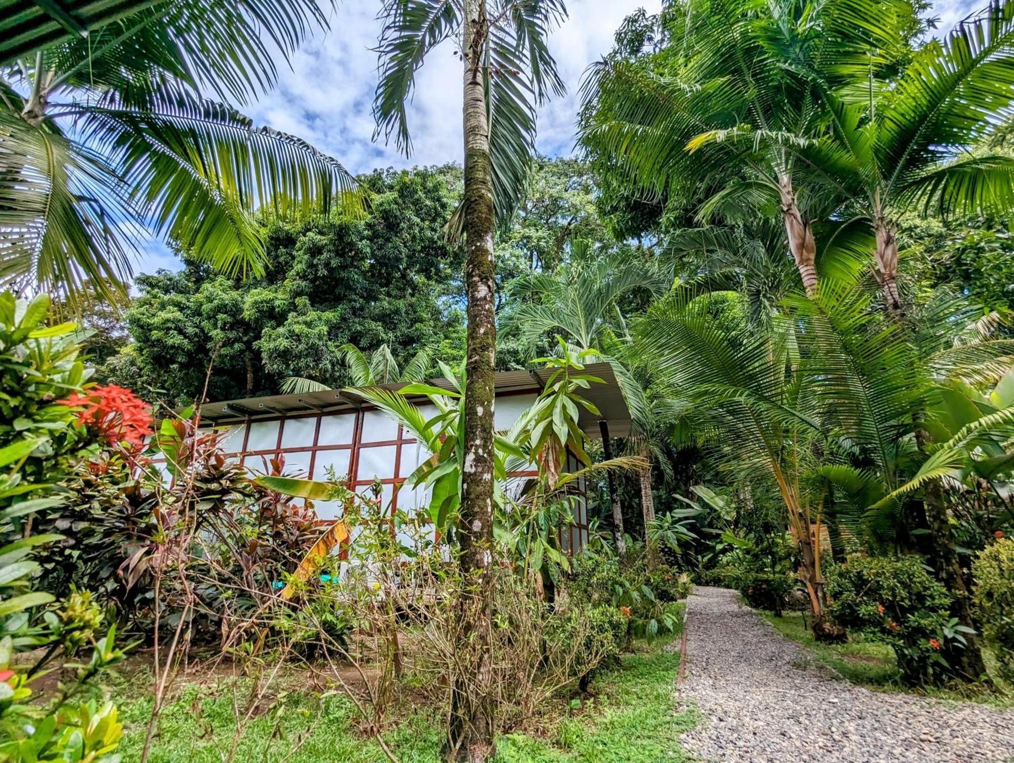 Arboura Eco Cabins Uvita Exterior photo