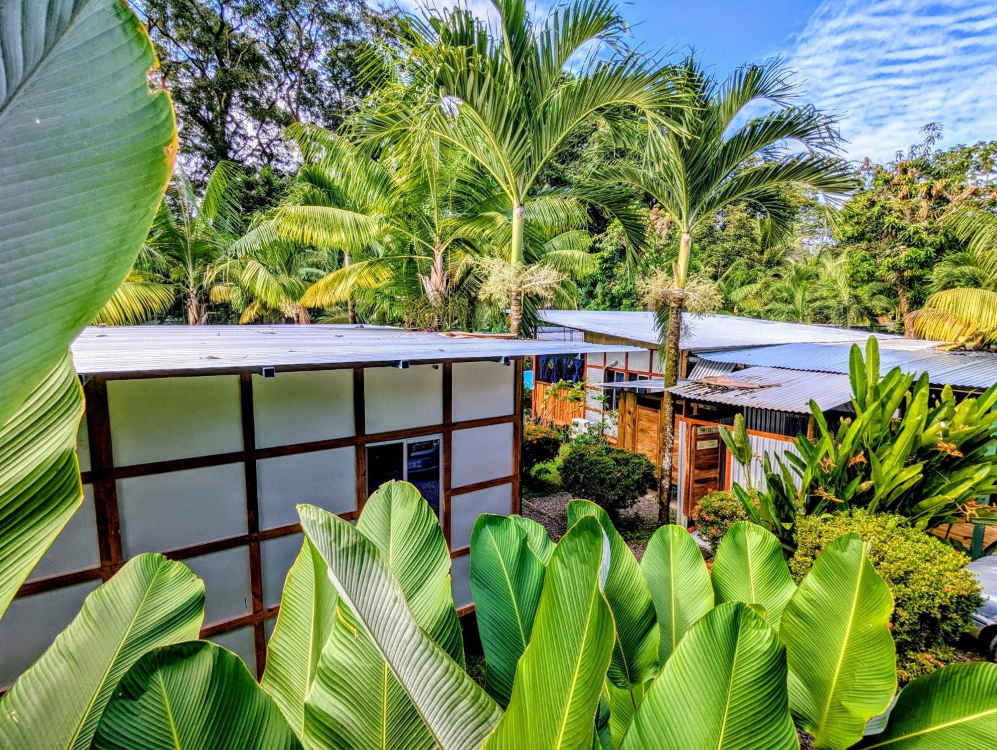 Arboura Eco Cabins Uvita Exterior photo